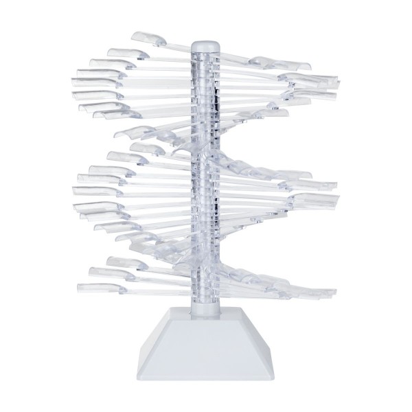 Függőleges köröm sablon AS4345