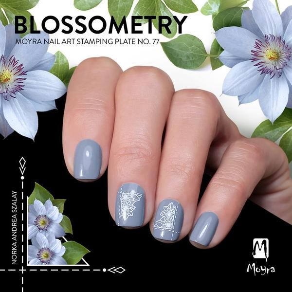 Moyra Nyomdalemez - BLOSSOMETRY Nr.77