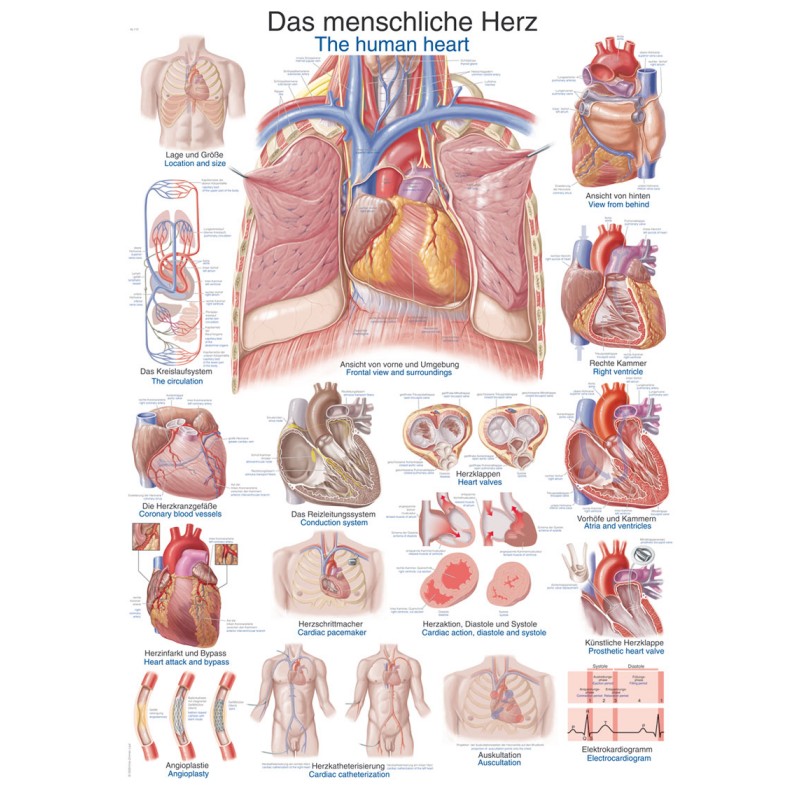 EZ AL112 szív plakát